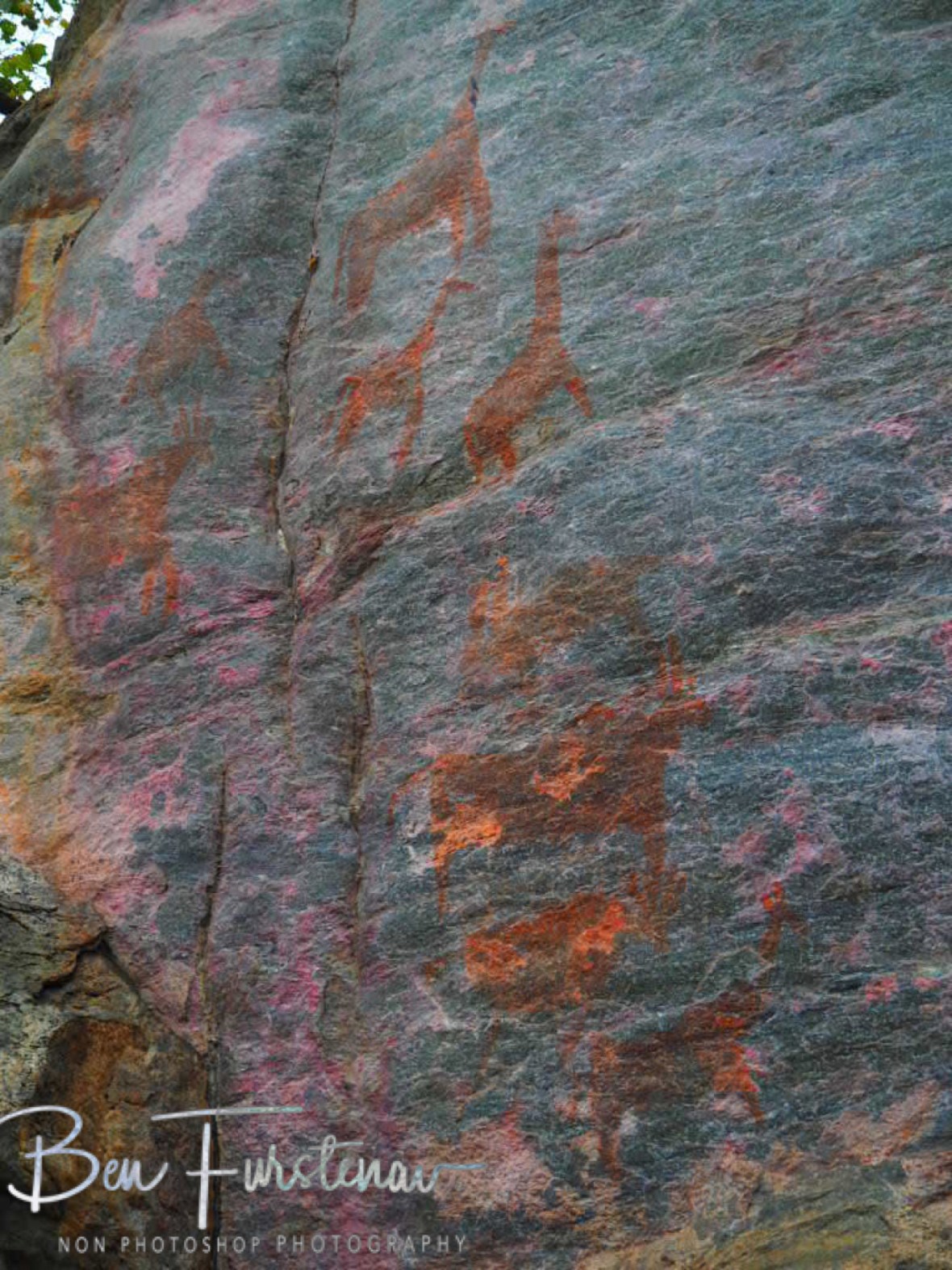 Wildlife bonanza, Tsolido Hills, Kalahari desert, Botswana