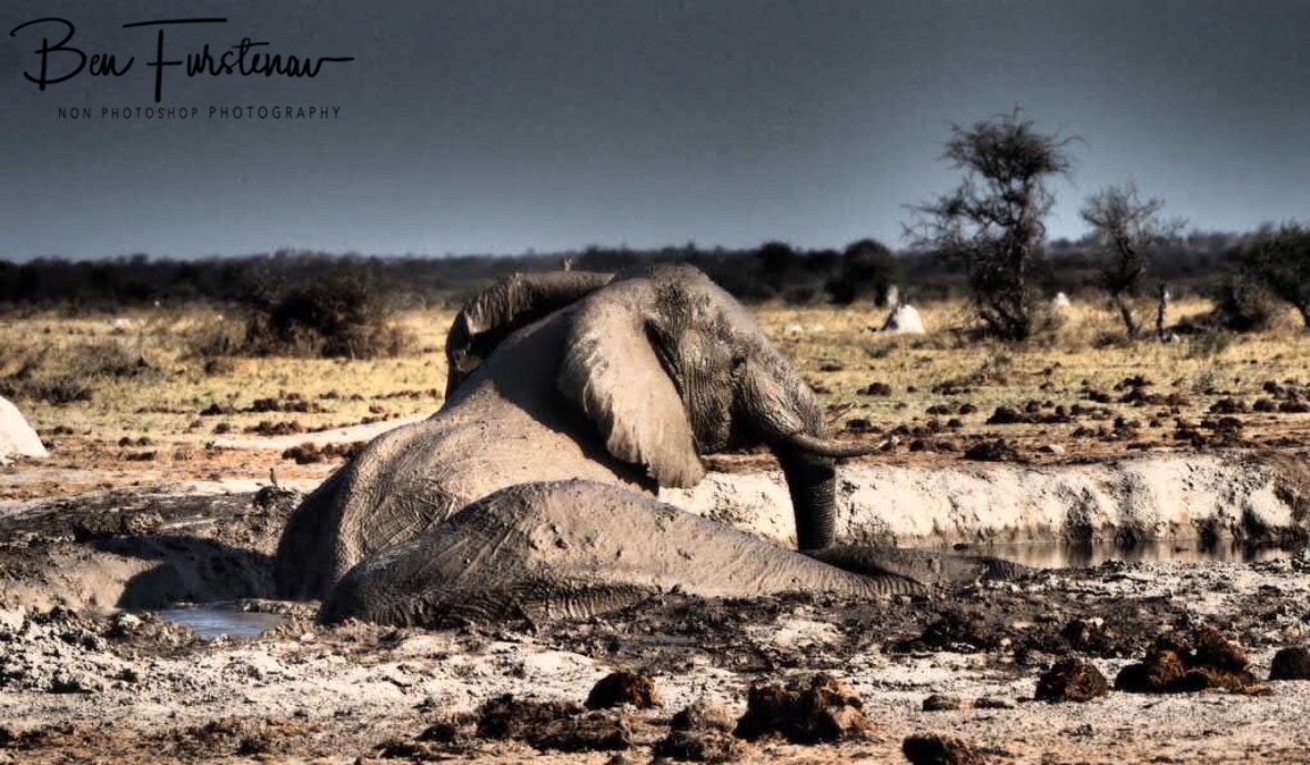 Finally, Nxai National Park, Botswana