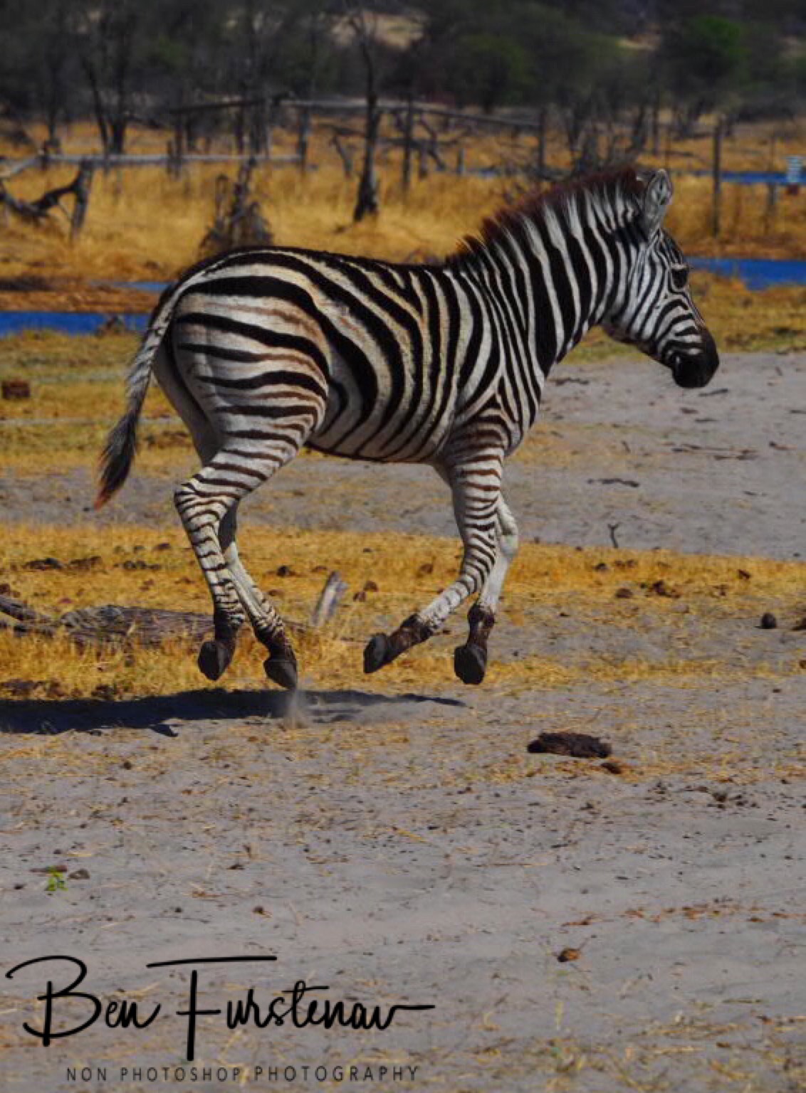 764EE597-171B-43FD-95EE-EC512F3D77F7