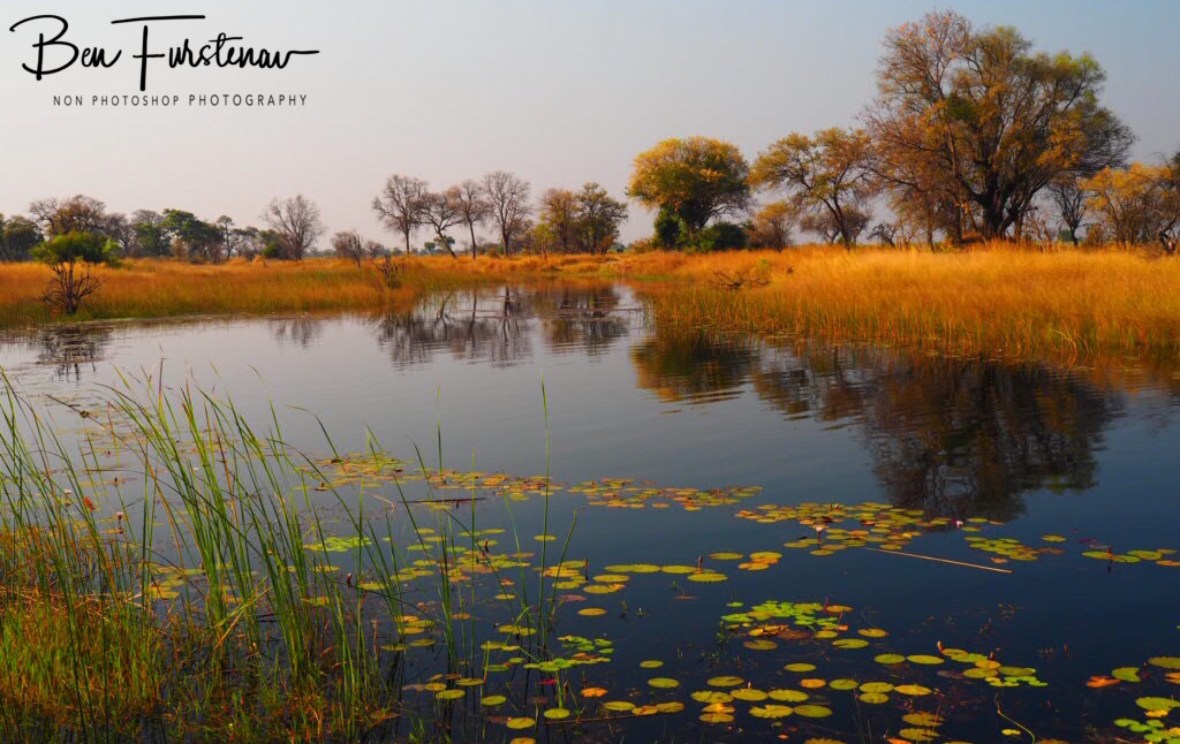 Camping along the Rupara River, Nkasa National Park, Namibia
