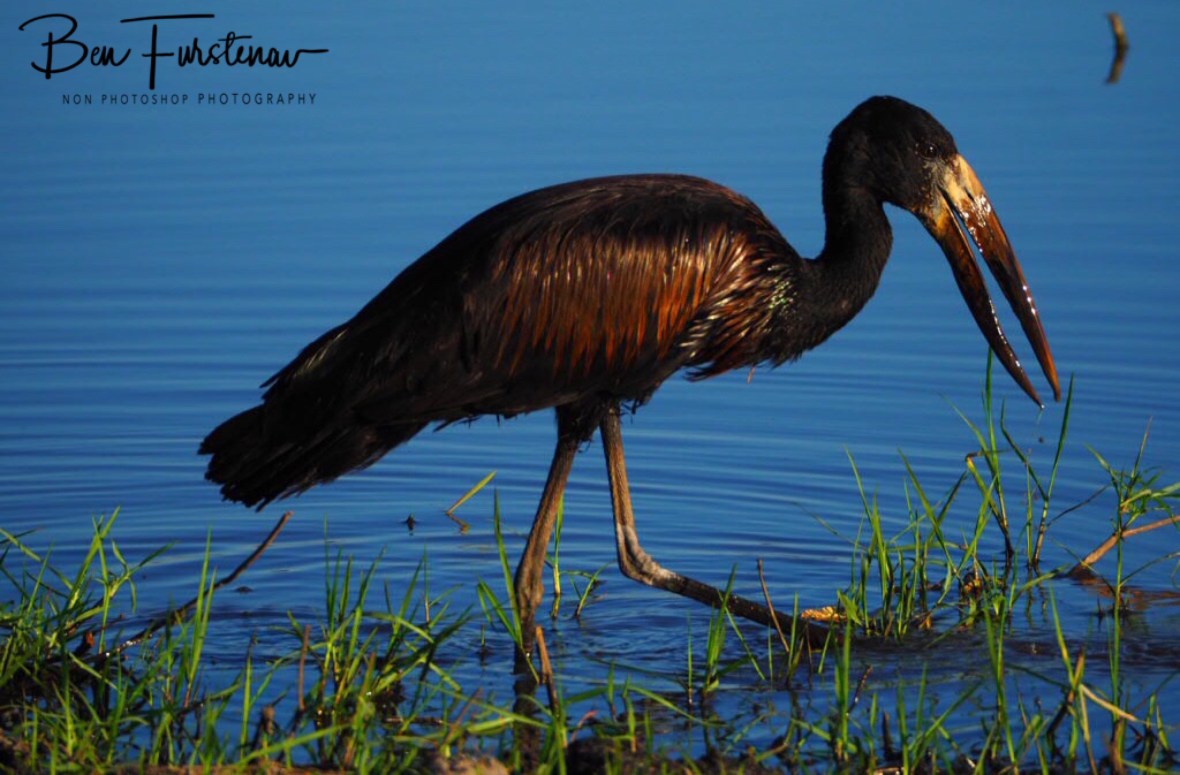 76E7C7F4-A5E3-43CD-BF28-54D51A1A654A