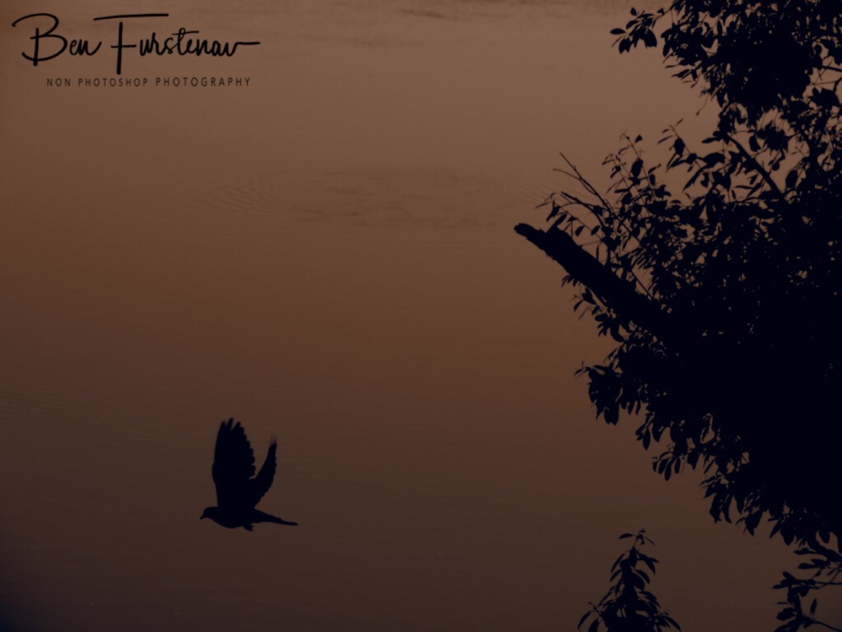 Need more twitches, Katima Mulilo, Namibia 