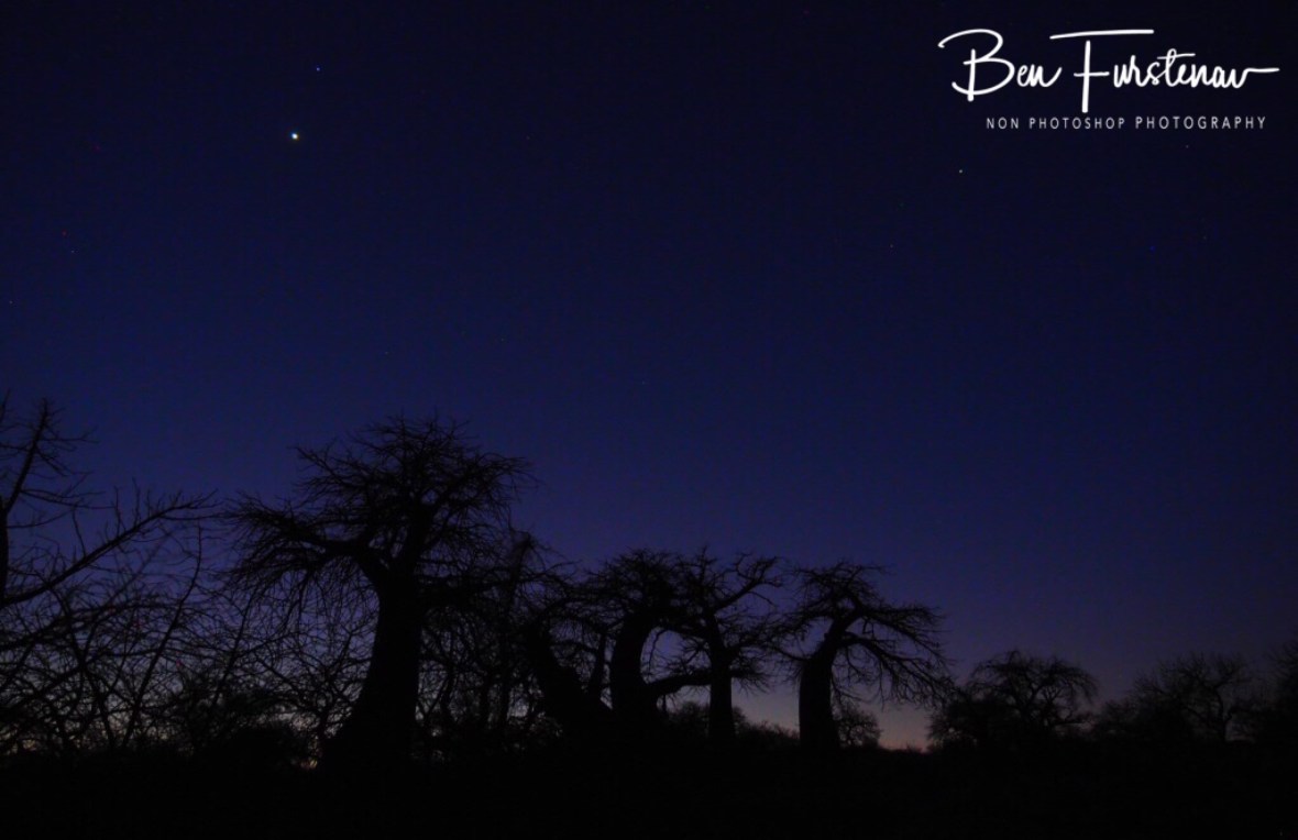 Stary night over Kubu Island, Makgadikgadi Salt Pans, Botswana