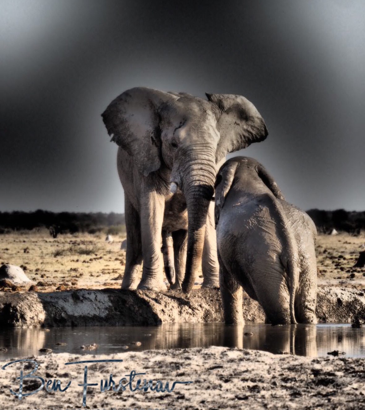 Time to get out!, Nxai National Park, Botswana