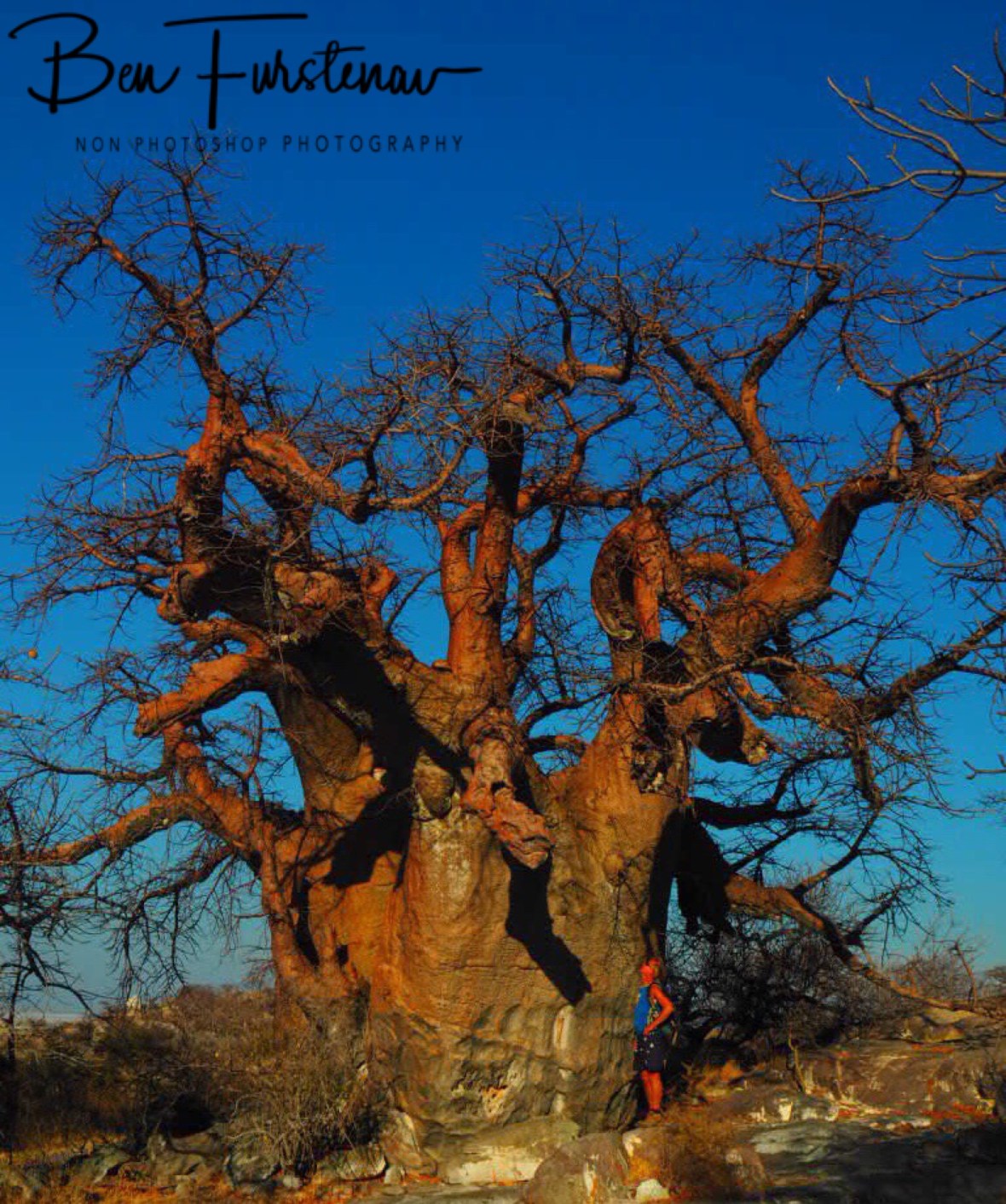 Just impressive, Kubu Island, Makgadikgadi Salt Pans, Botswana 