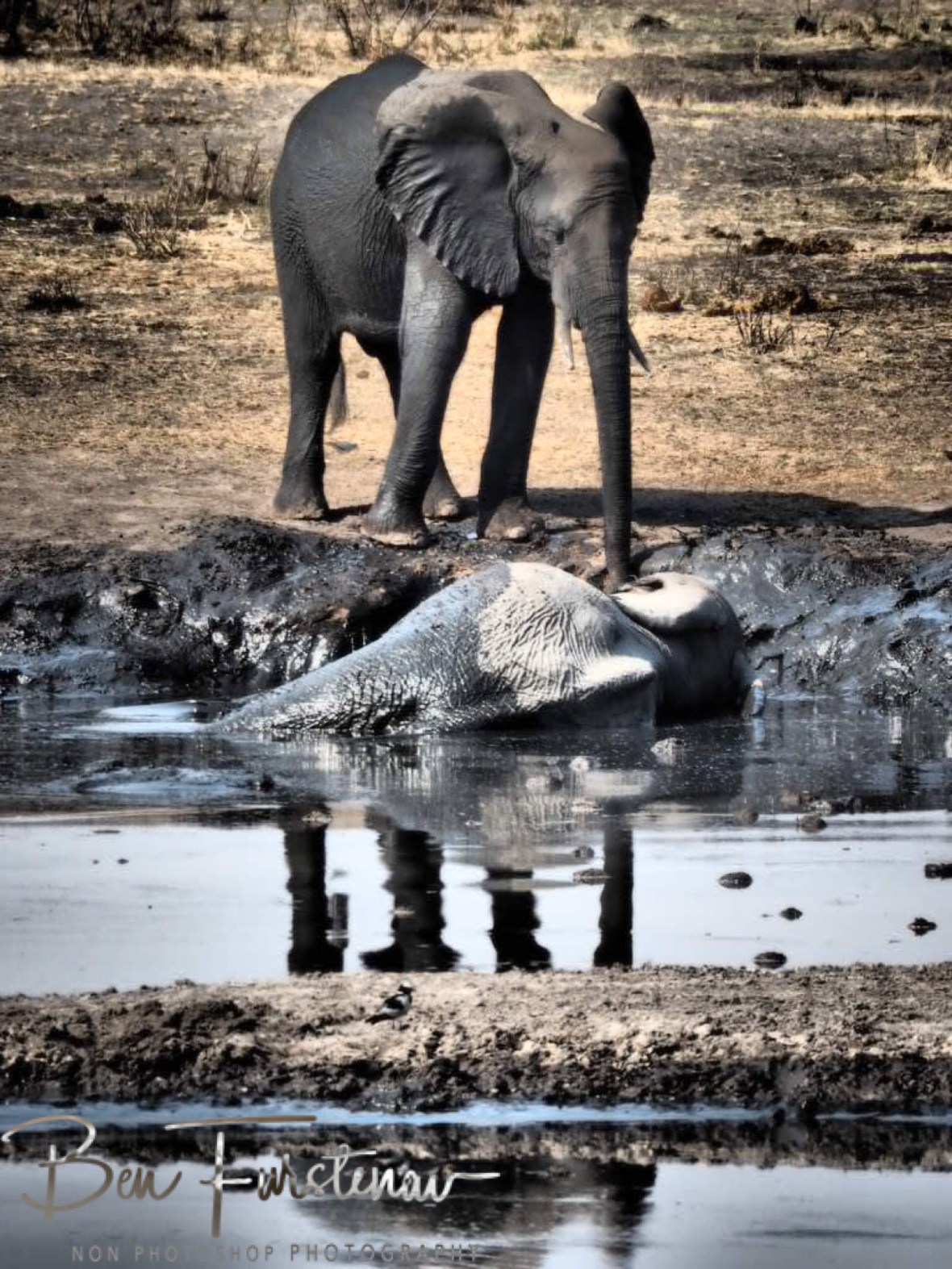 I just wanna lay here, Khaudum National Park, Namibia