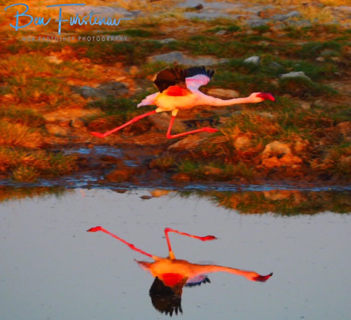 One more step an we’re off, Makgadikgadi Salt Pans, Botswana