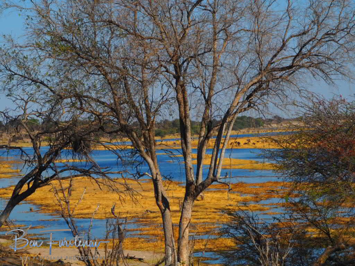 Bodeti River bed, Makgadikgadi National Park, Botswana 