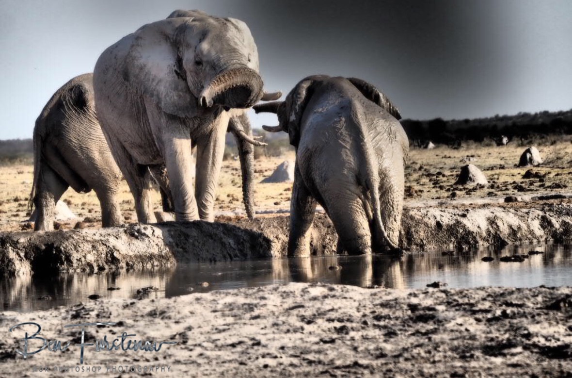 Time to step in, Nxai National Park, Botswana