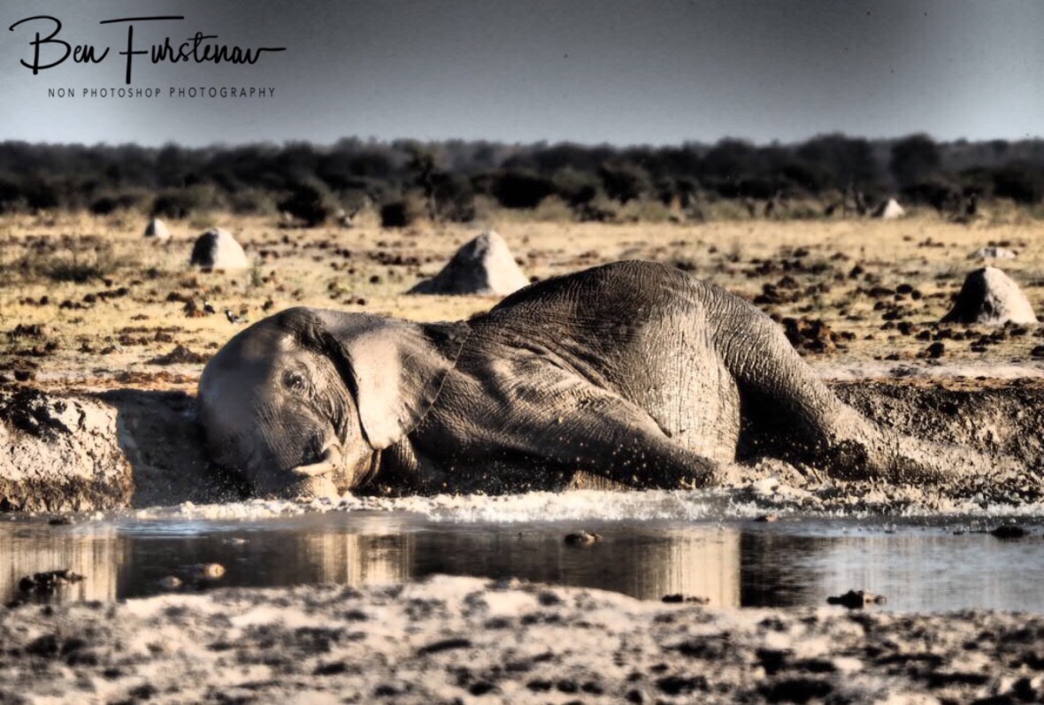 Slippery slope, Nxai National Park, Botswana