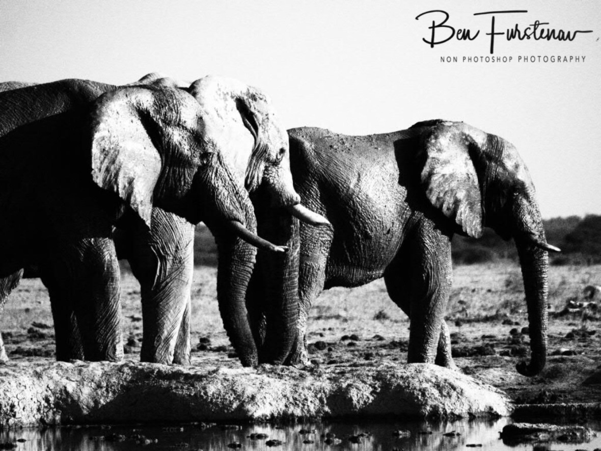 Elephant hill, Nxai National Park, Botswana