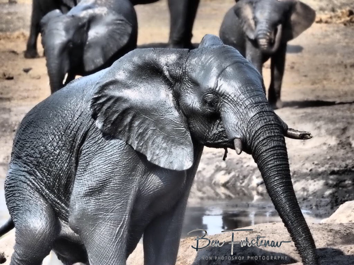 One last slippery step, Khaudum National Park, Namibia