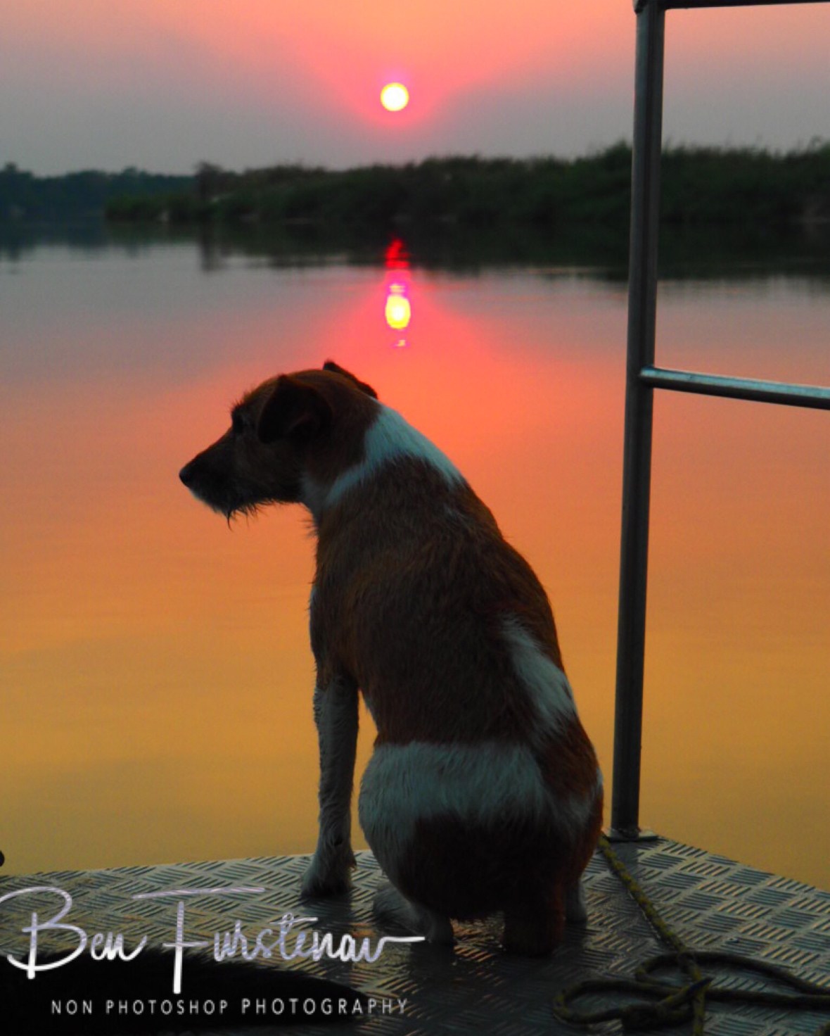 Max on the sunset, Katima Mulilo, Namibia 