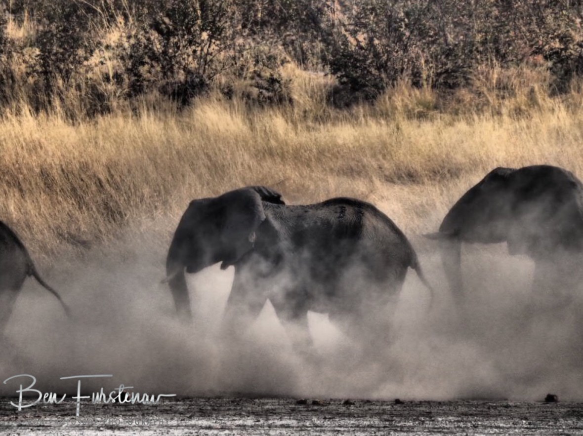 Whirling dust, Khaudum National Park, Namibia