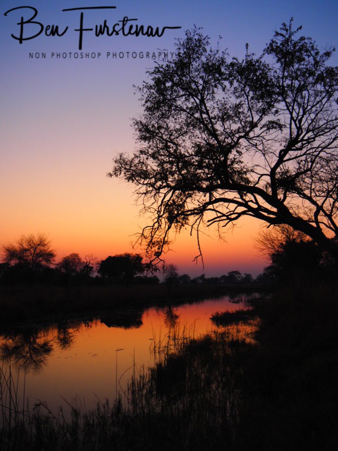 Early morning glory, Nkasa National Park, Namibia