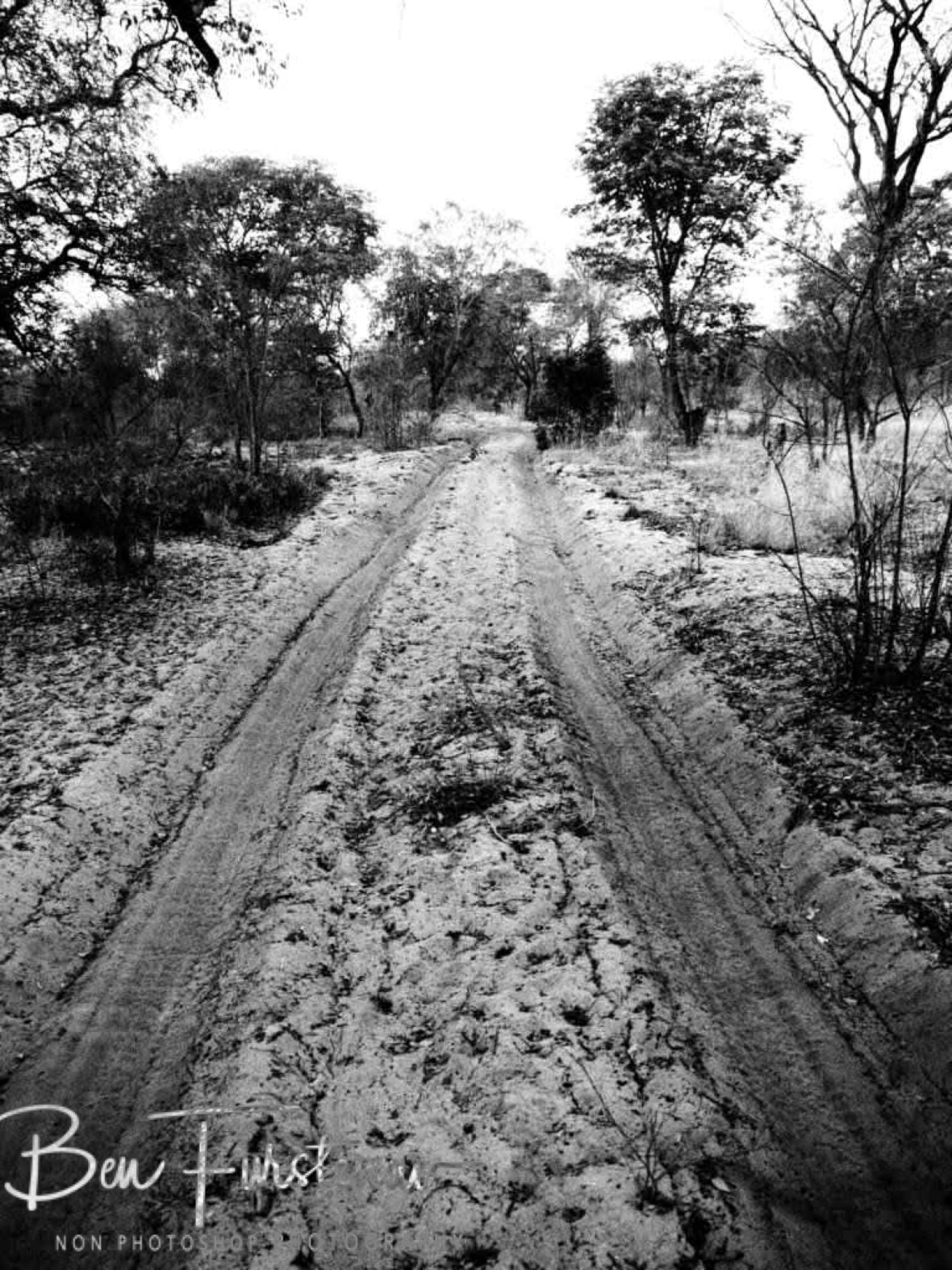 Soft sand track to Khaudum National Park, Namibia