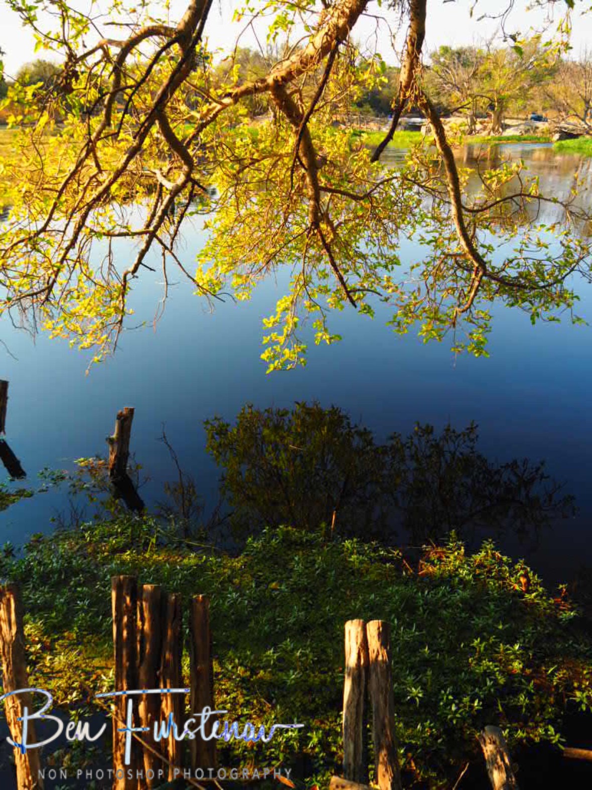 Delta feel, Maun, Botswana