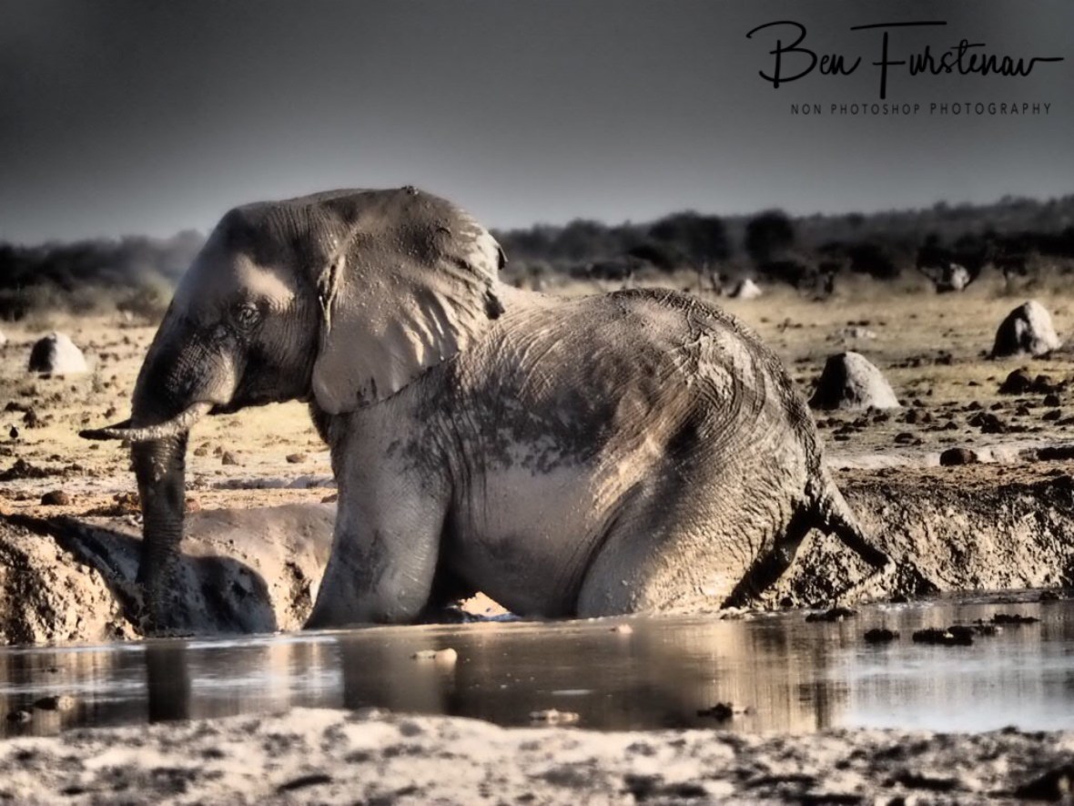 Oh well, I better get out, Nxai National Park, Botswana