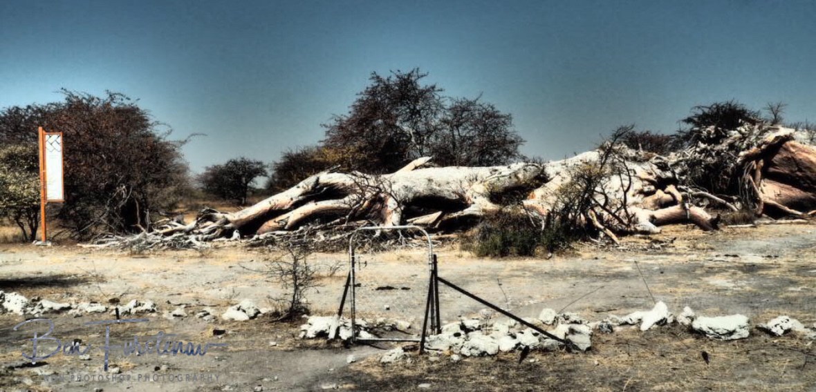 Sign and gate left standing, Makgadikgadi Salt Pans, Botswana 