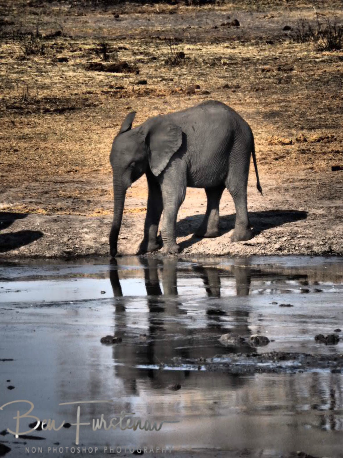 Not sure about these waters, Khaudum National Park, Namibia