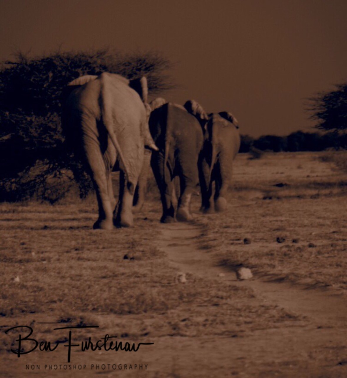 Back to where we came from, Nxai National Park, Botswana