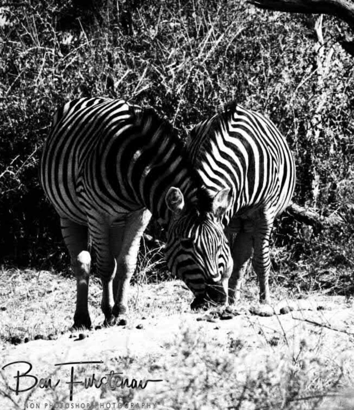 Or for this one, Makgadikgadi National Park, Botswana