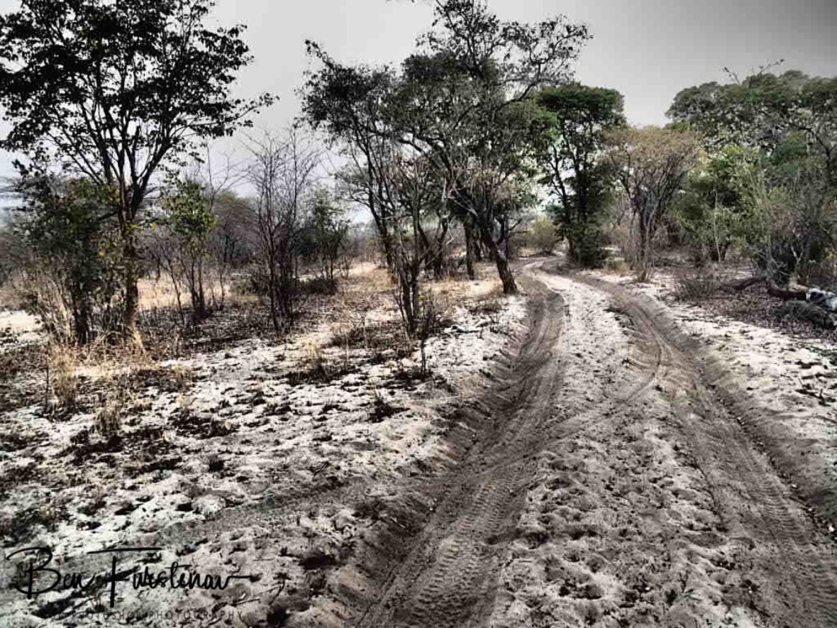 The soft sand was handled well by Zimba, Khaudum National Park, Namibia