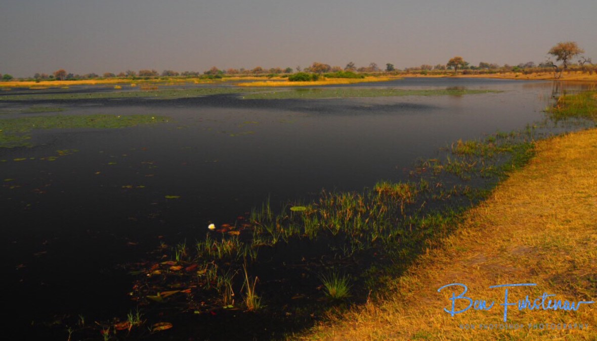 Empty spaces, Mudumu National Park, Namibia