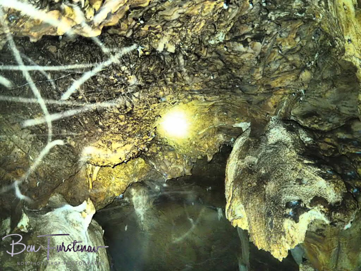 Millions of flying insects, Drotsky Caves, Kalahari desert, Botswana 