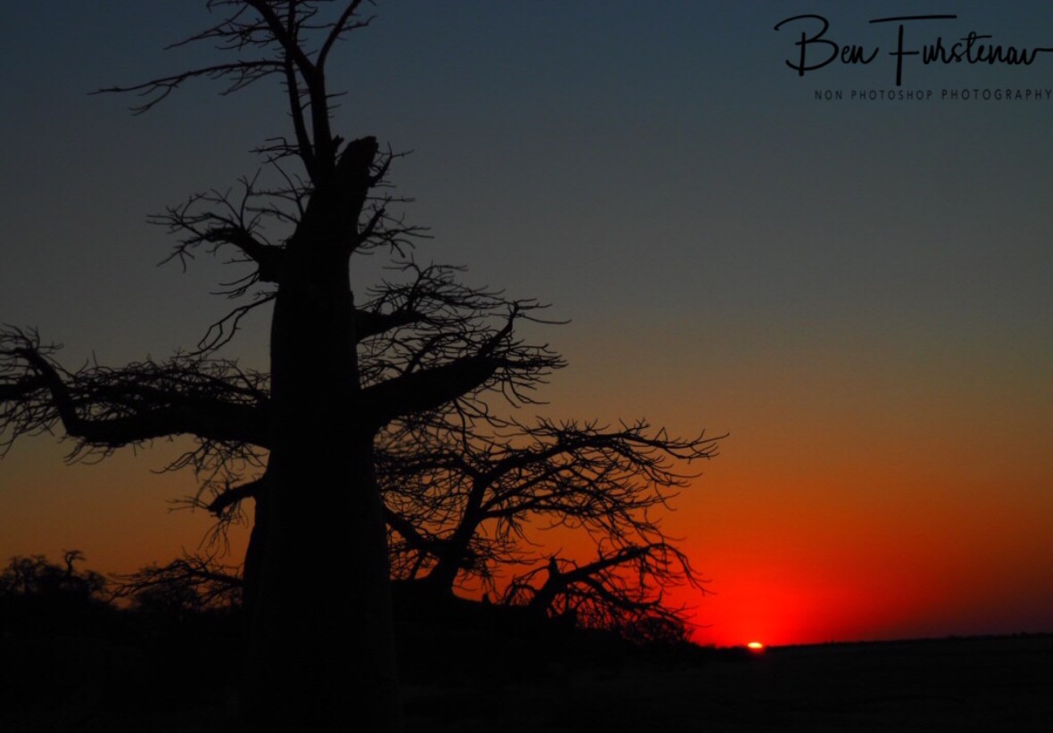 Last sunraus off the day on Kubu Island, Makgadikgadi Salt Pans, Botswana 