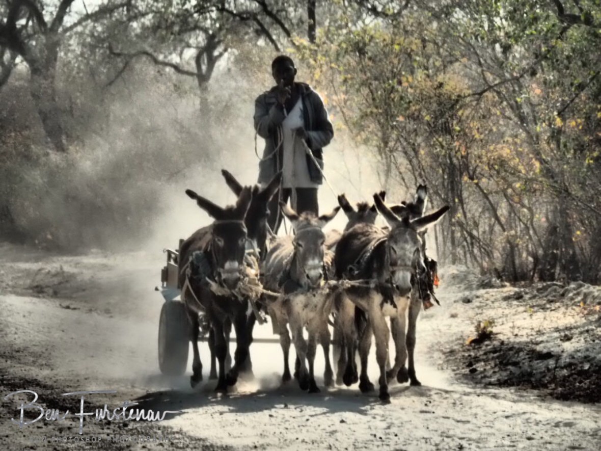 Donkey carriage, Tsolido Hills, Botswana 