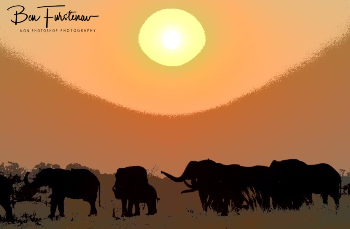 Elephantastic sunset at Khaudum National Park, Namibia