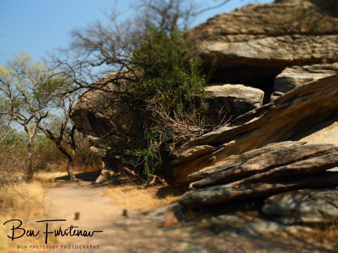 Natural fence, Tsolido Hills, Kalahari desert, Botswana