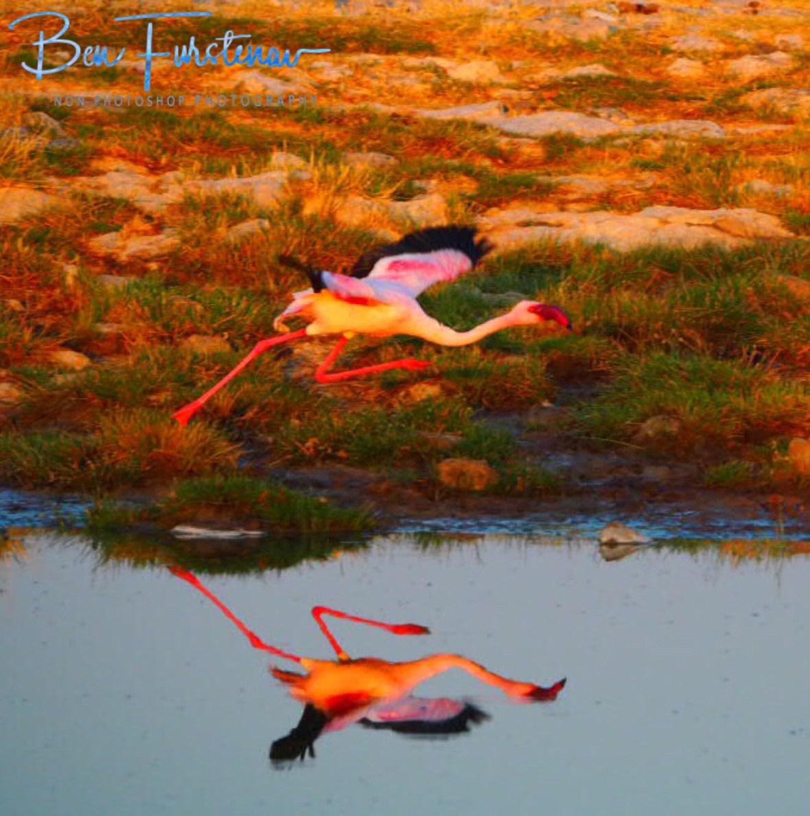 Ok, another step. Makgadikgadi Salt Pans, Botswana 