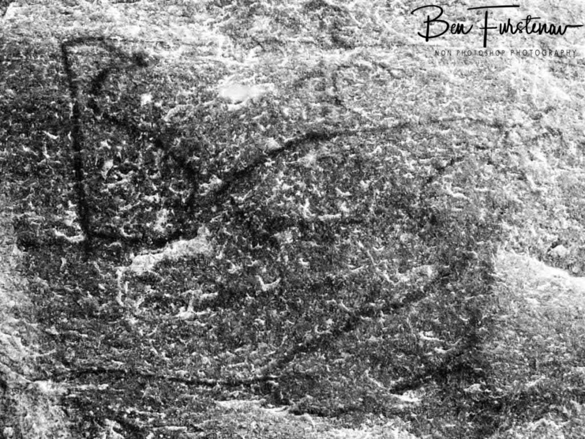 Whales ad penguins?, Tsolido Hills, Kalahari desert, Botswana