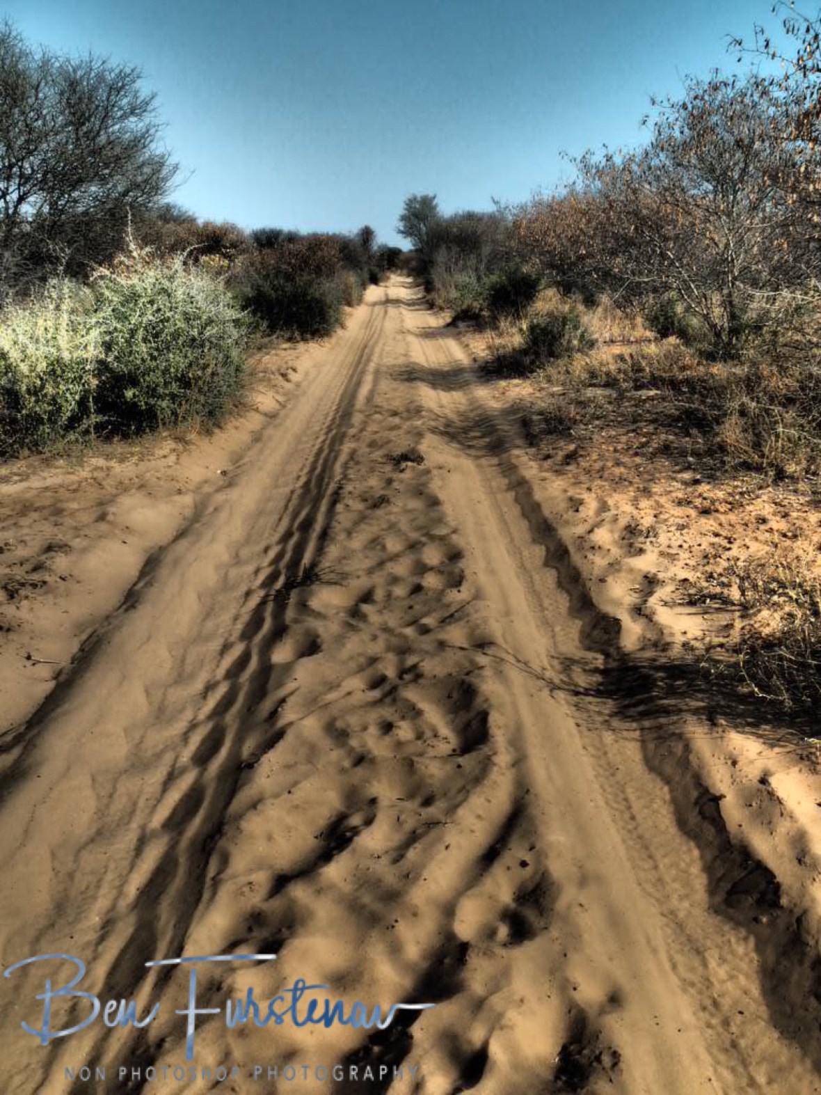 Straight in to the Kalahari desert, Botswana 