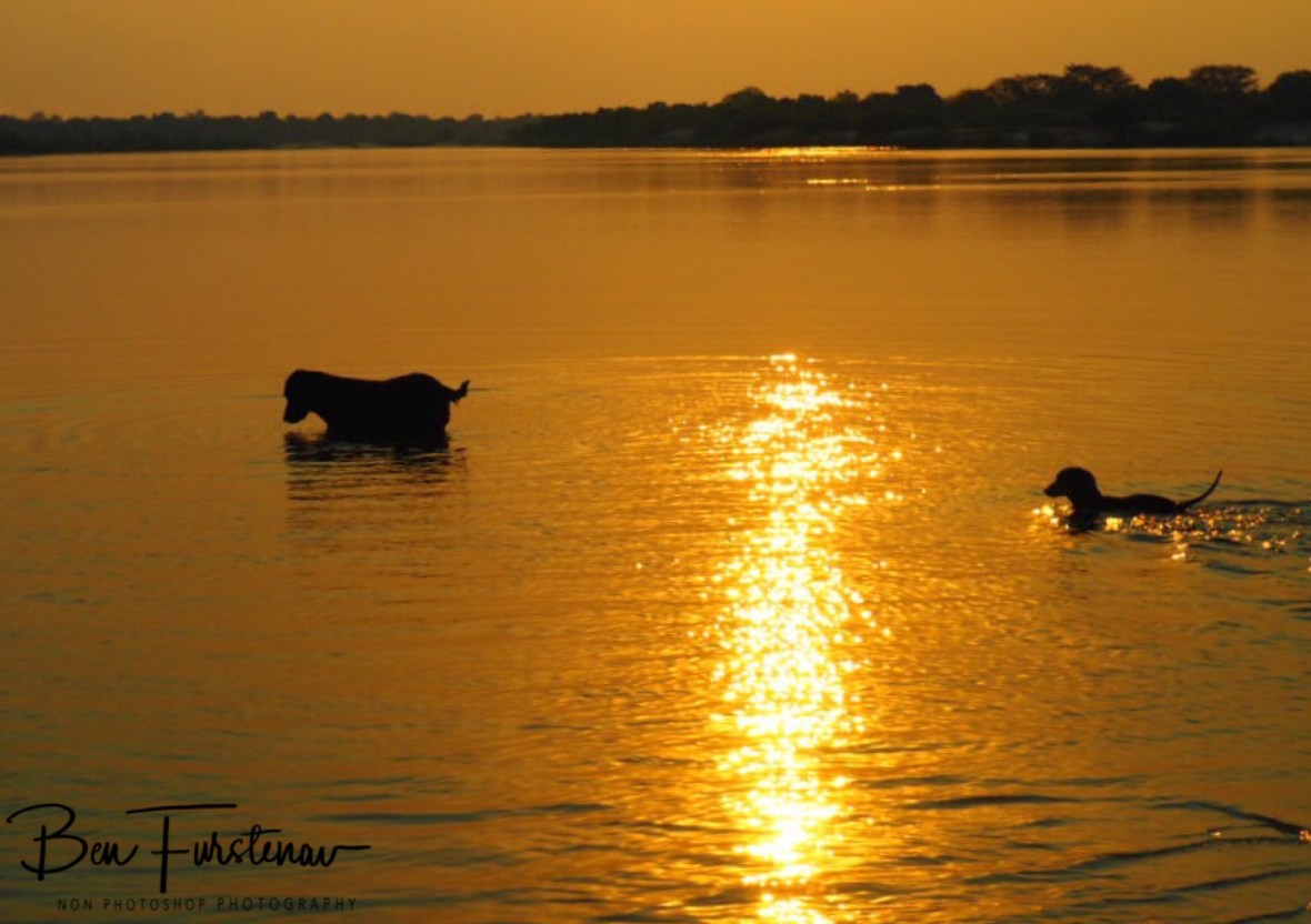 Sausage dog submarine, Katima Mulilo, Namibia