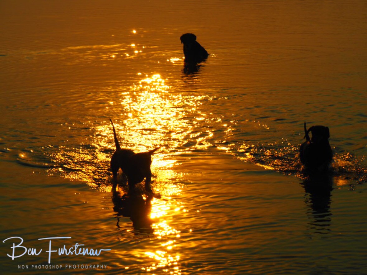 Sausage dog retreat, Katima Mulilo, Namibia 
