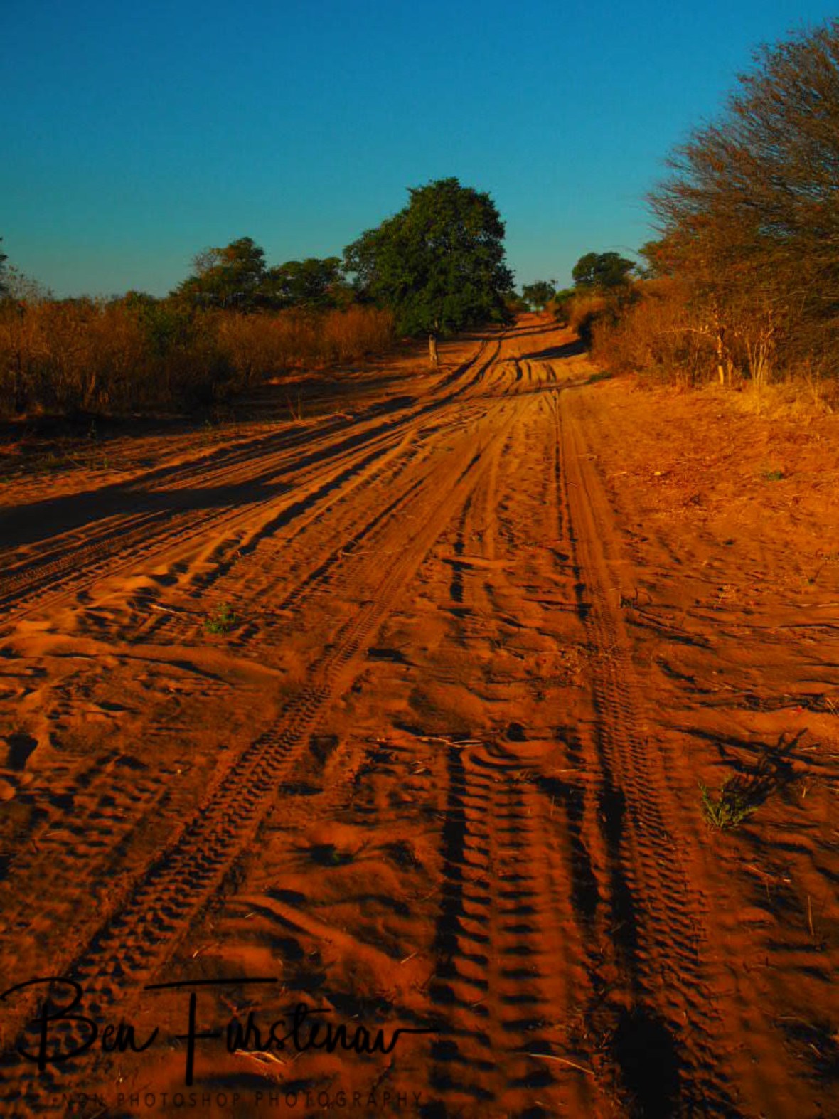 Outback track, Chobe National Park, Botswana