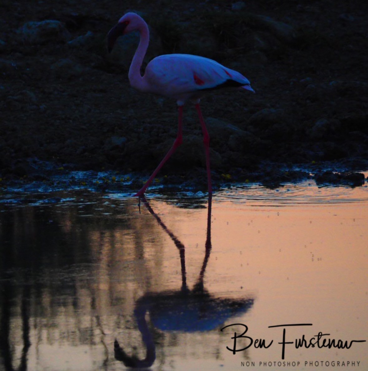 Fading sunlight, Makgadikgadi Salt Pans, Botswana 