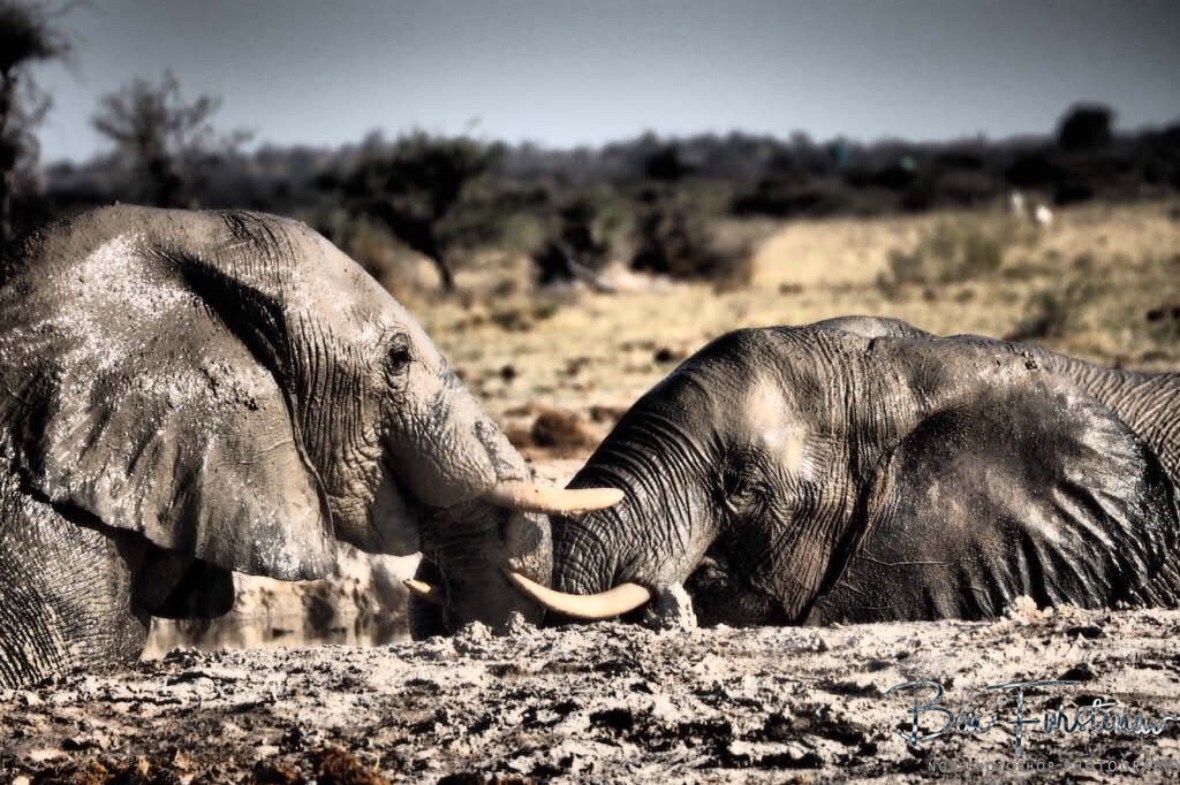 Botswana, Makgadikgadi Salt Pans