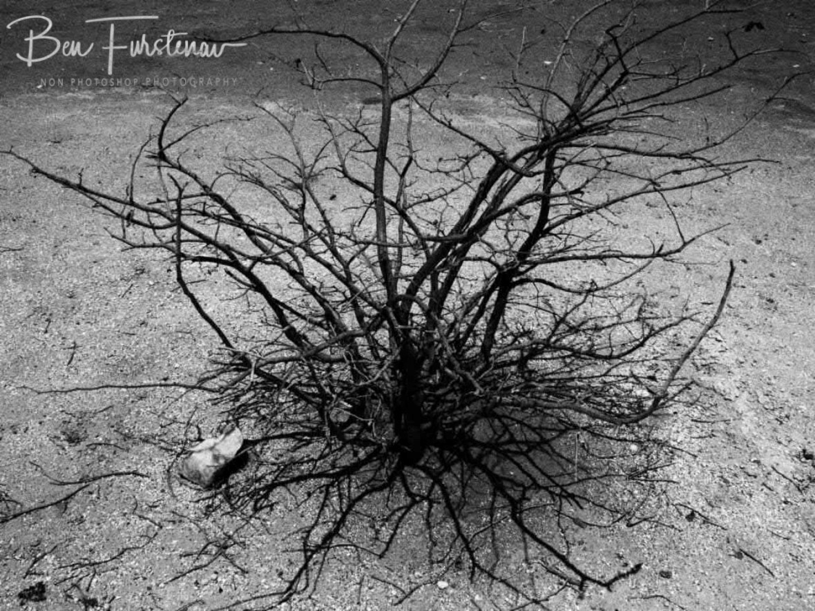 Scrub and shadows, Groote Berge, Kaokoveld, Namibia