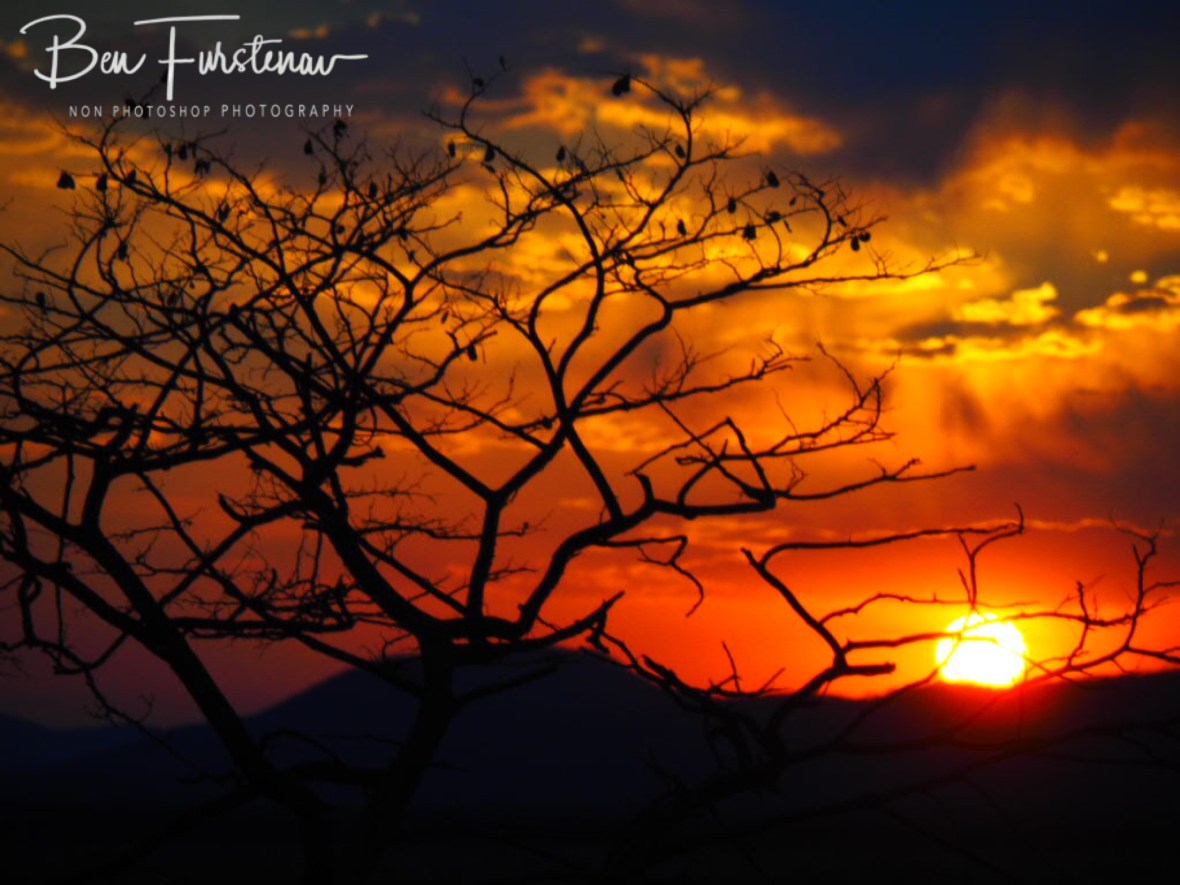 Orange ball glow, Sophienhof, Outjo, Namibia