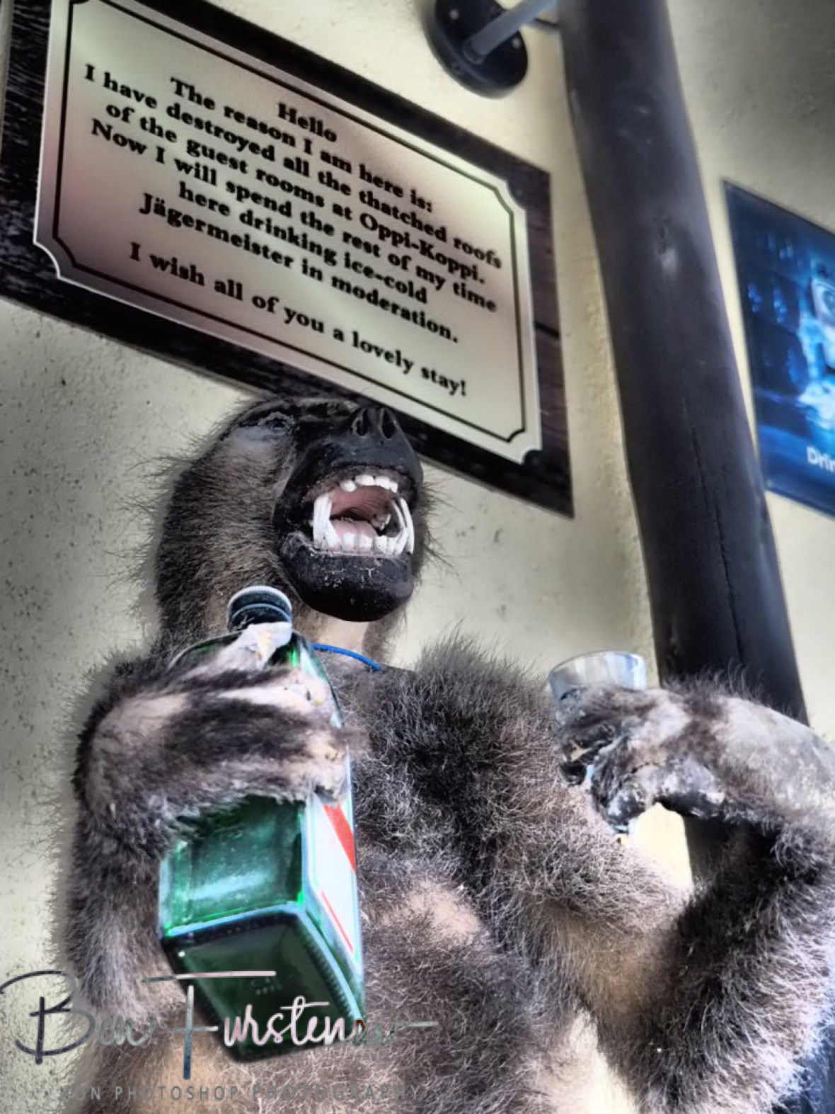 Can’t miss this sign either, Oppi Koppi, Kamanjab Namibia