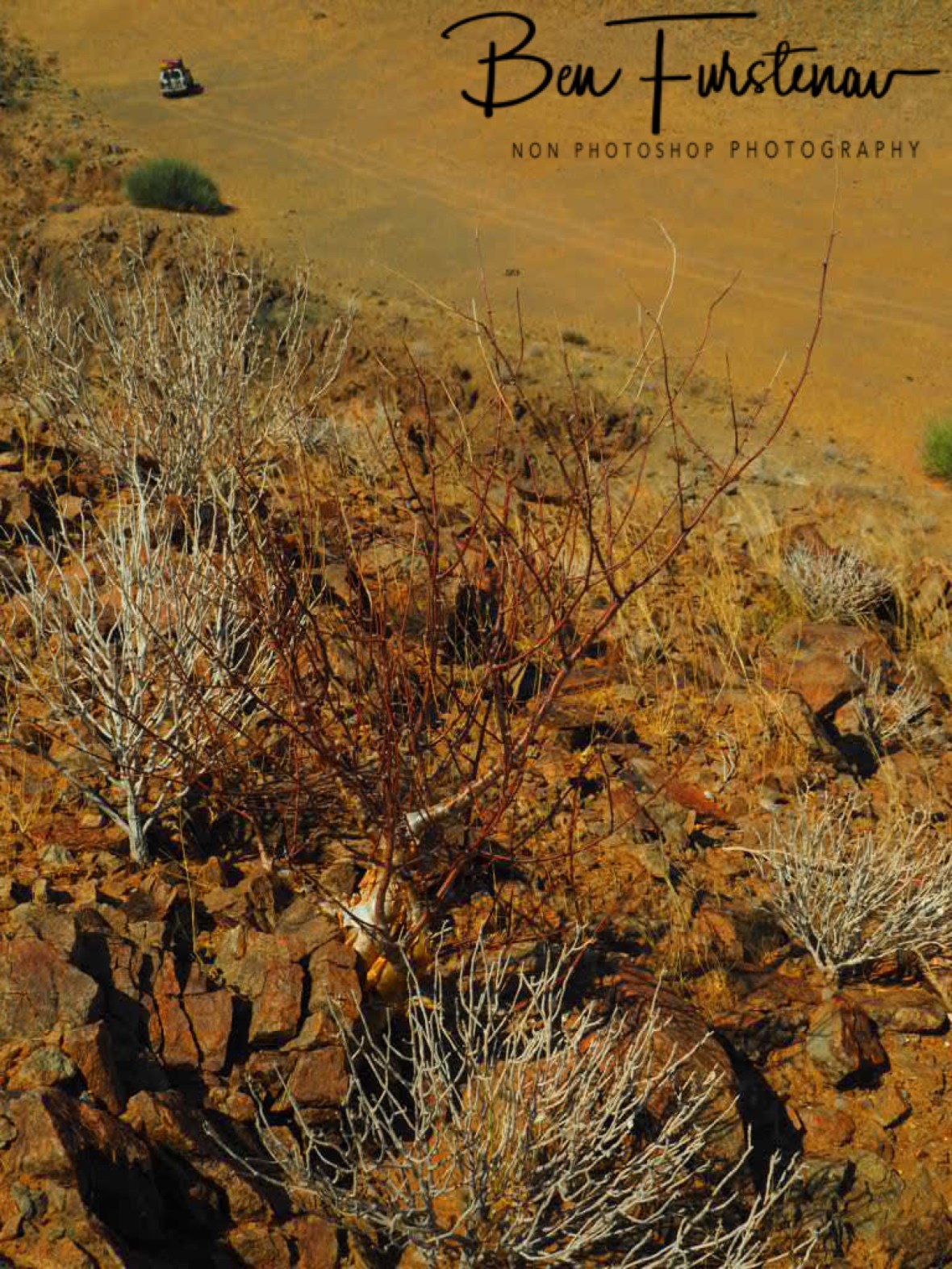 Zimba parked in the distance, Damaraland, Namibia