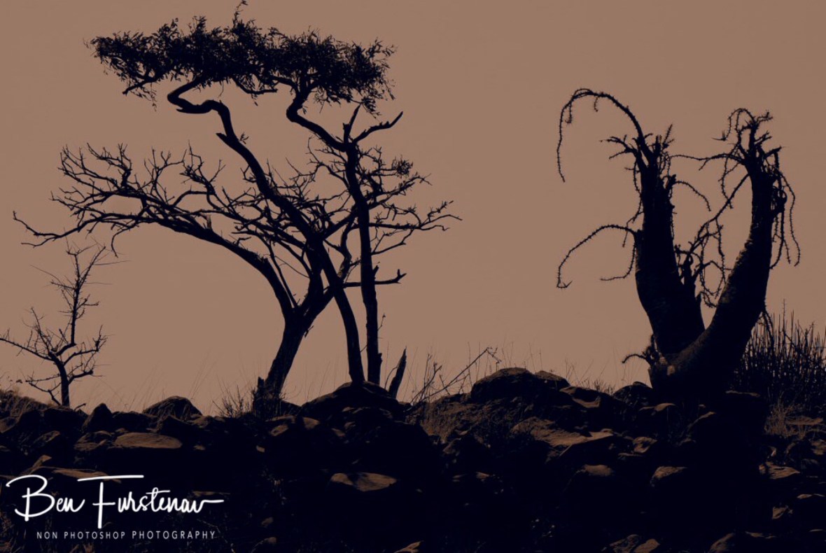 Sepia sun shadows, Groote Berge, Kaokoveld, Namibia