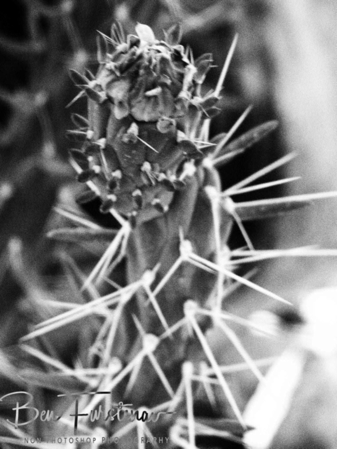 Shifting focus point, Brandberg Mountains, Namibia
