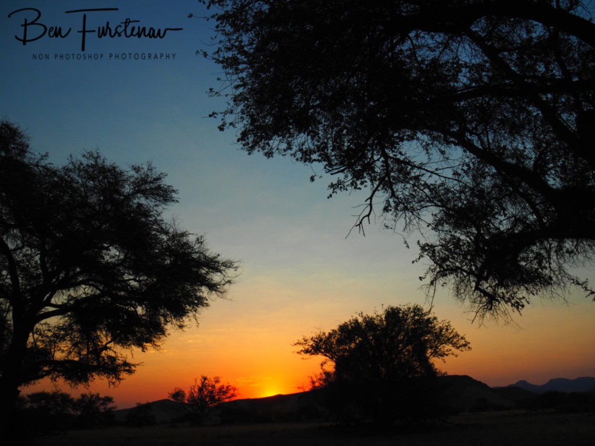 Last fading ligh, Damaraland, Namibia