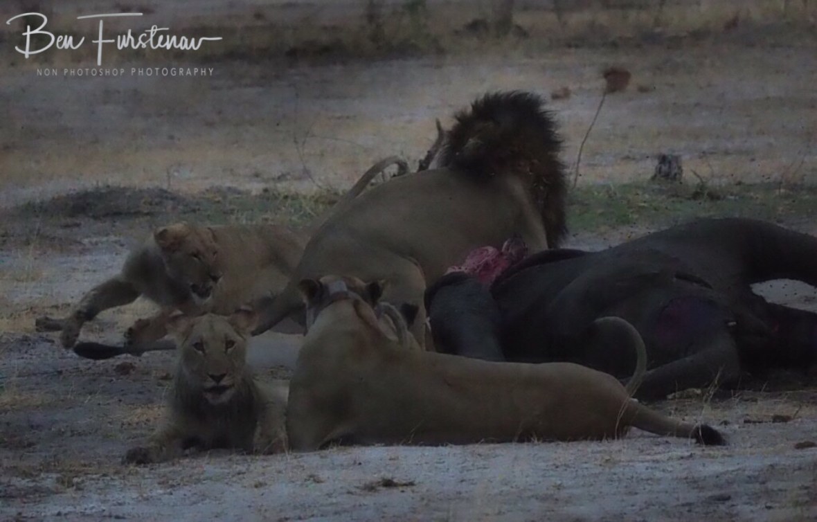 Back to square one, Khaudum National Park, Namibia