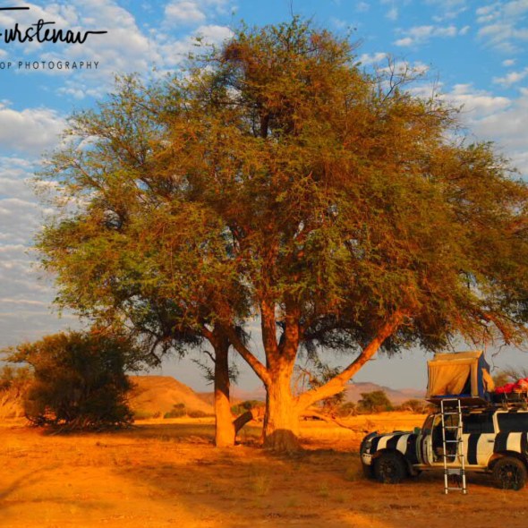 Warming early morning rays, Damaraland, Namibia